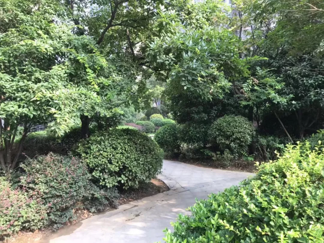 阜阳物业费排行Top6曝光!1.38元/㎡随处可见,最贵1.8元/㎡?